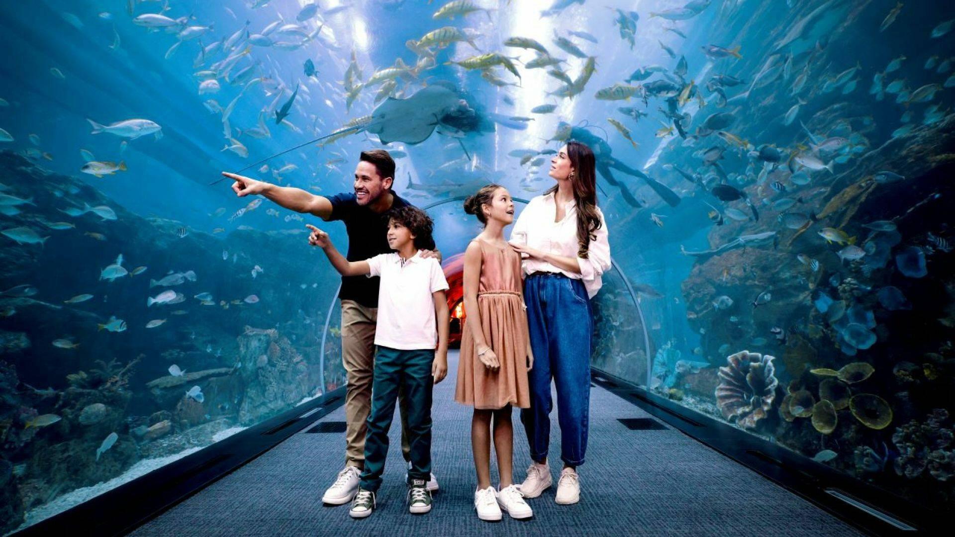 FLASH SALE: Dubai Aquarium & Underwater Zoo29475