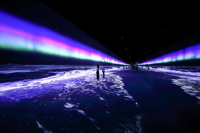 Immersive Digital Art at ARTE MUSEUM DUBAI37068