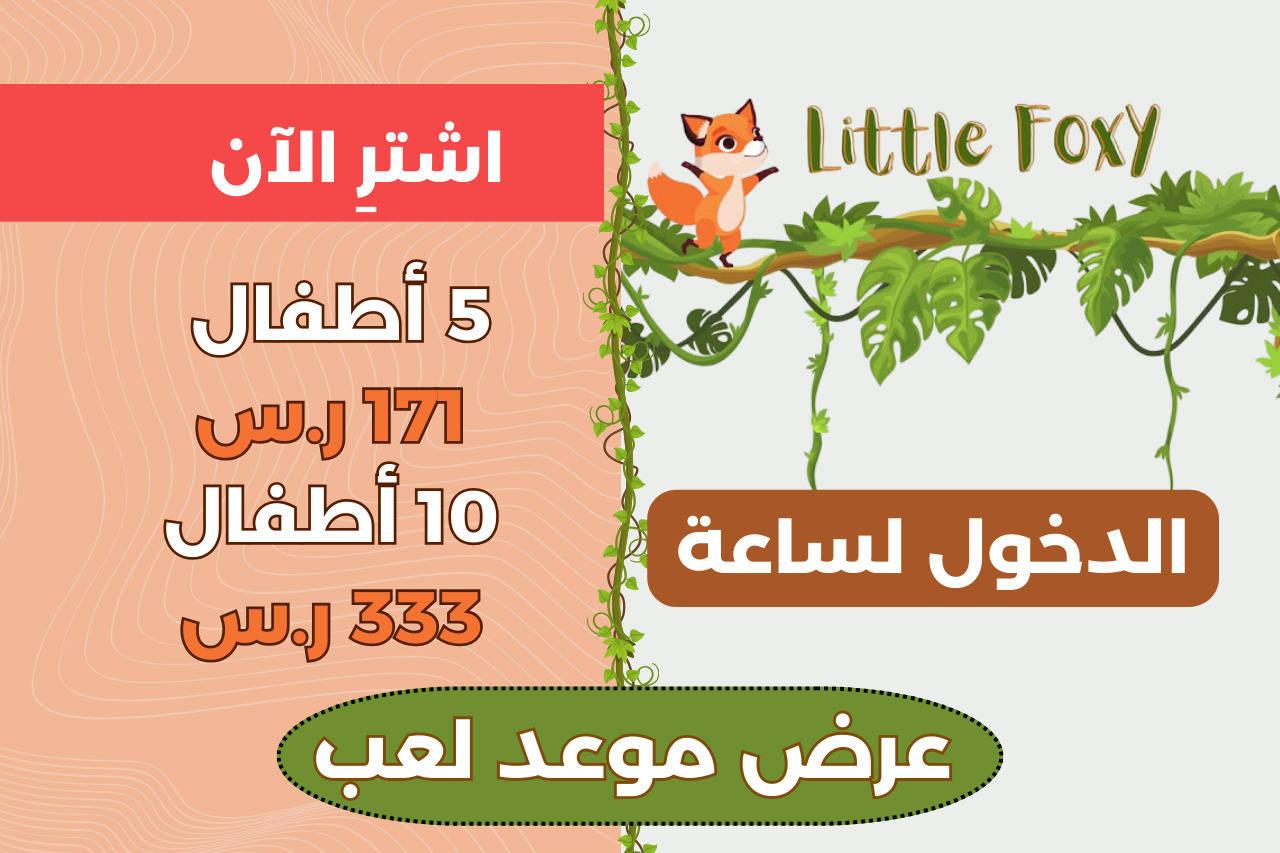 Play Date Offers at Little Foxy Indoor Play Area38865