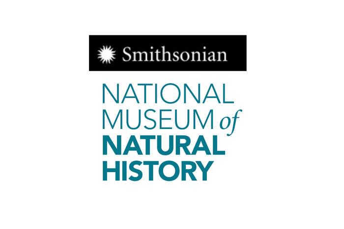 جولة افتراضية: متحف التاريخ الطبيعي26179