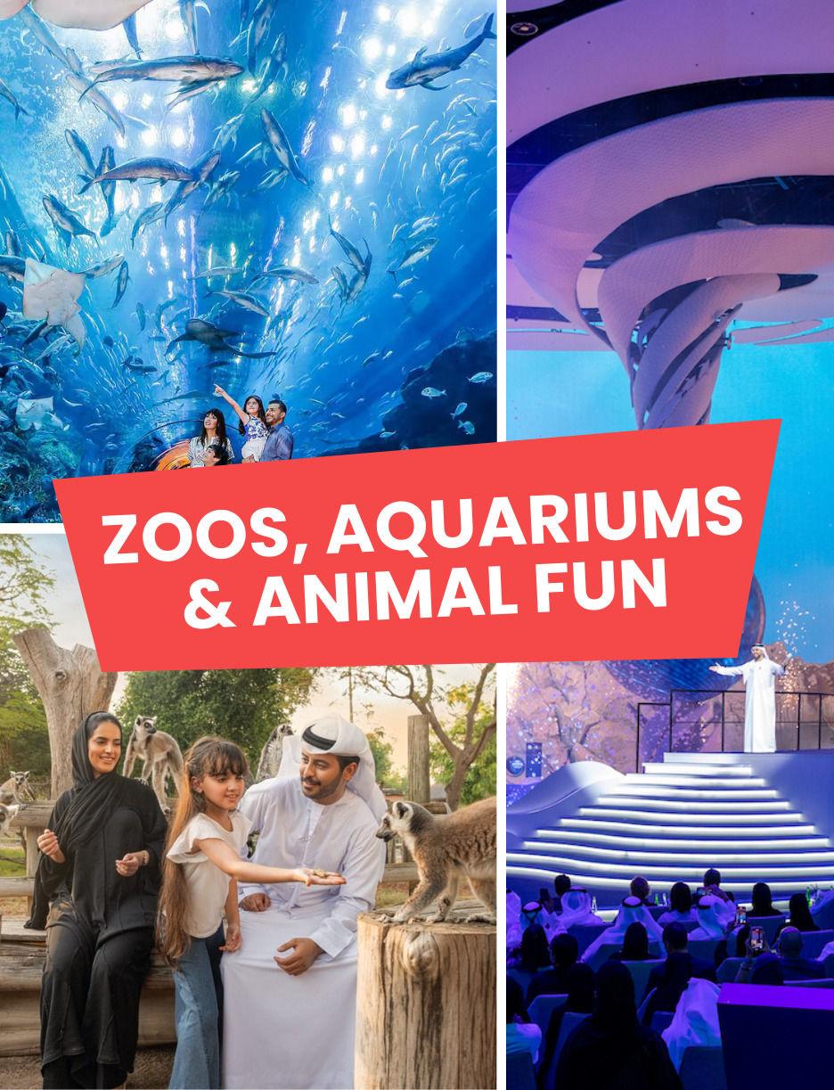 SLIDER: Zoos, Aquarium and Animal Fun6059