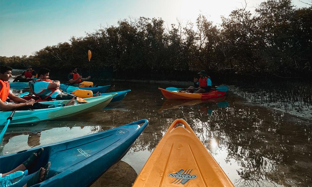 Mangrove Kayak & Boat Cruise-29818