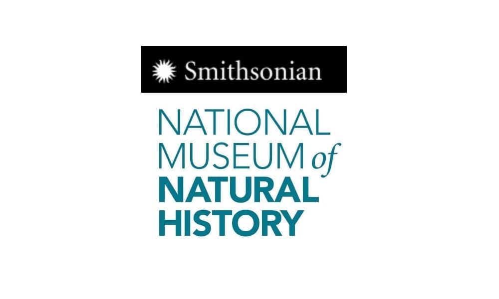Virtual Tour: Natural History Museum34924