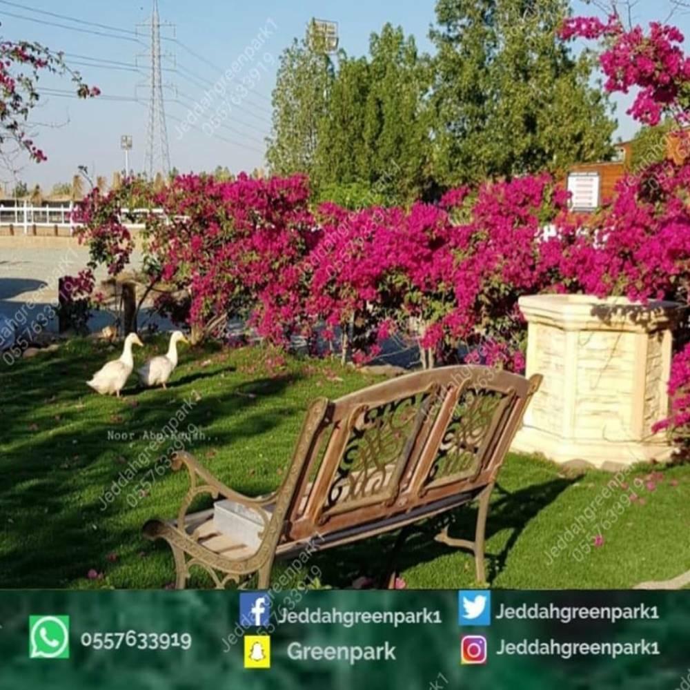 Jeddah Green Park16096