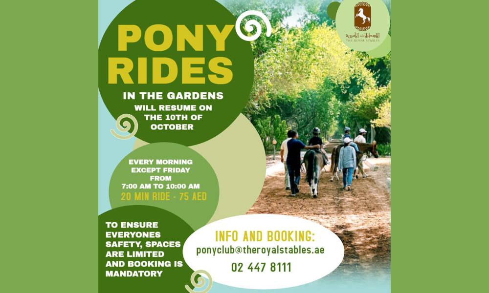 Pony Rides In The Garden26835