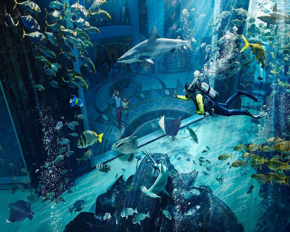 The Lost Chambers Aquarium Dubai-37679