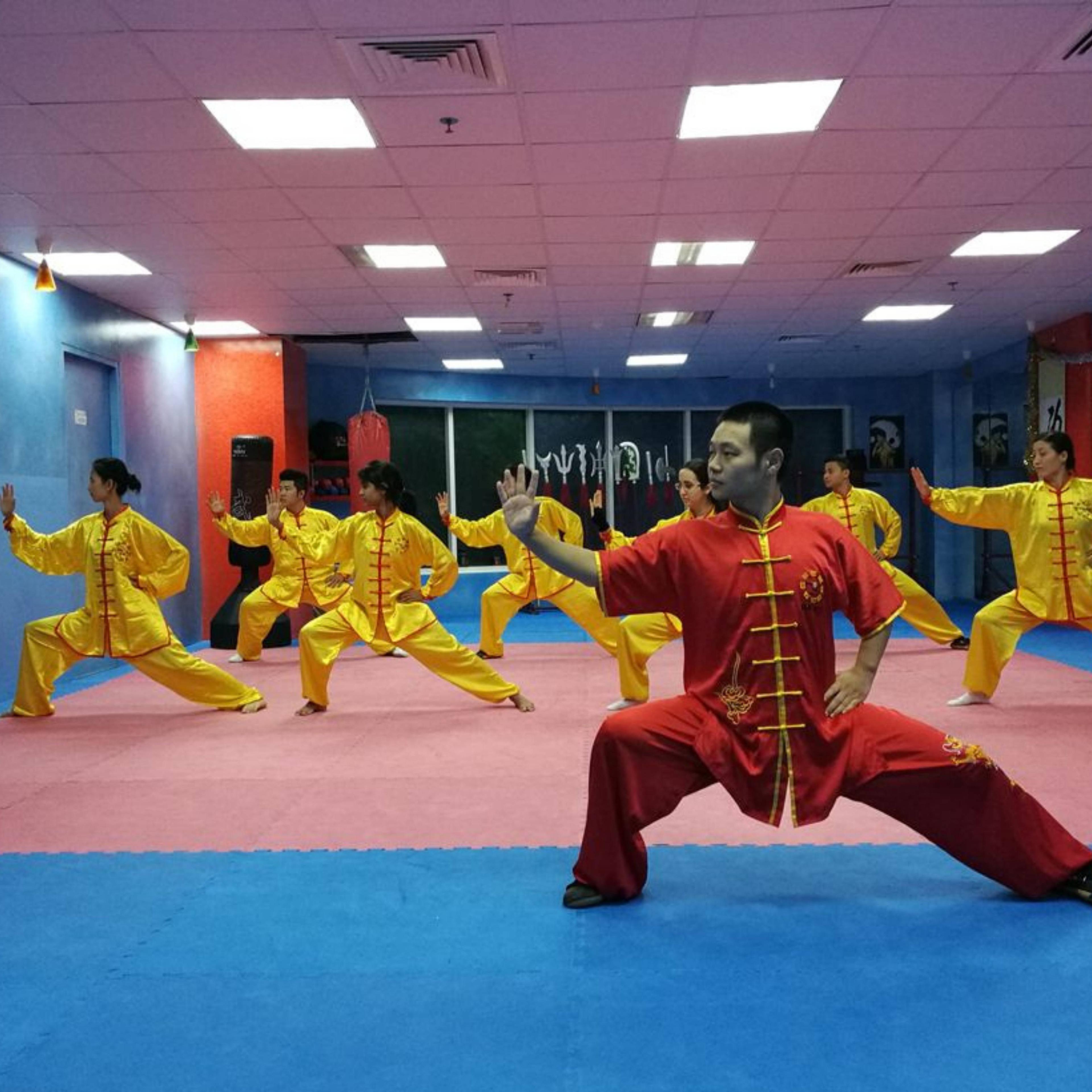  Martial Arts Sessions at Shaolin Martial Arts - TECOM16813