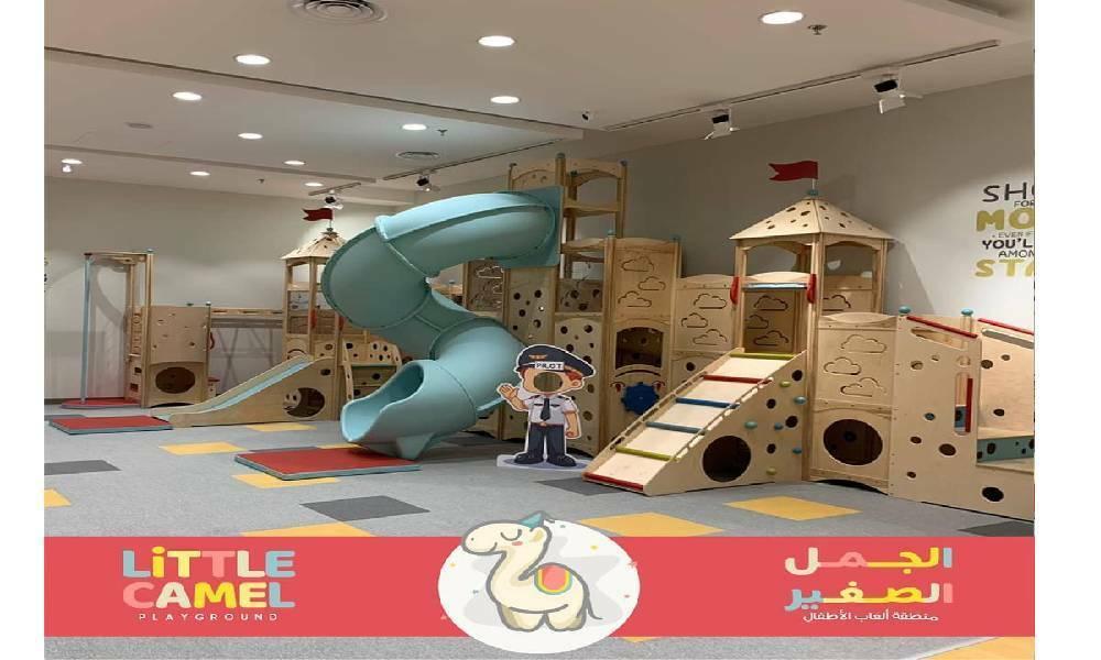 Little Camel Playground15172