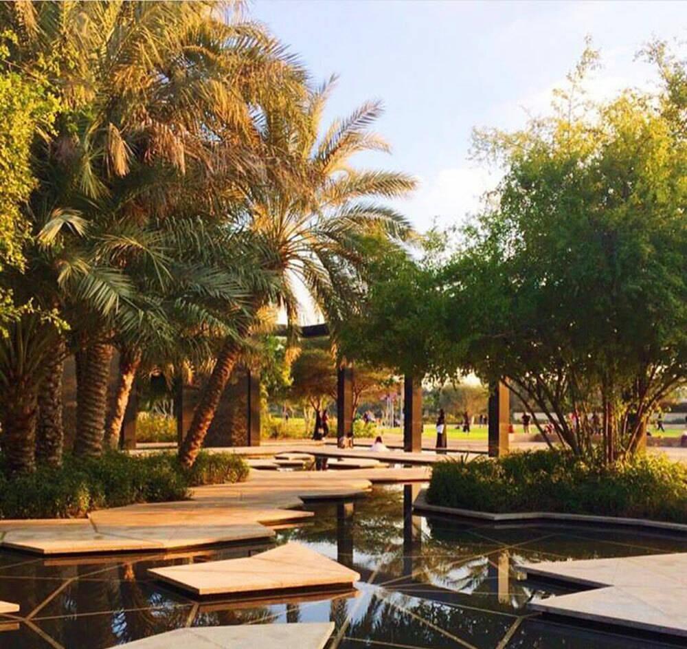 Botanical Garden at Umm Al Emarat Park23822