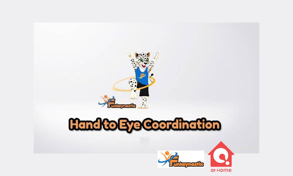 Hand Eye Coordination with Funkeynastix26241