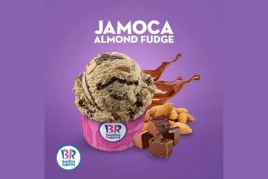 Baskin Robbins 17703