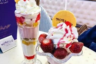 Morelli's Gelato17734