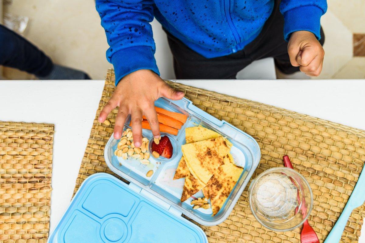 23 Healthy Lunch Box Ideas For Kids