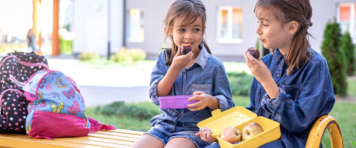 5 Lunch Box Recipes Your Kids Will Love