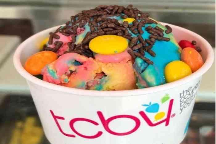 TCBY Frozen Yogurts17749