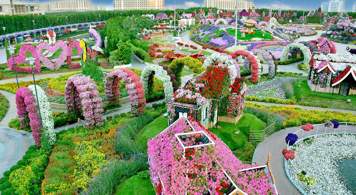 Dubai Miracle Garden4405