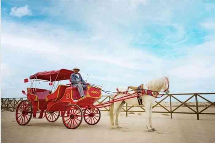 Horse Carriage on King Faisal Corniche31438
