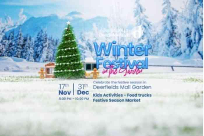 Winter Festival & Market at Deerfields Mall36391