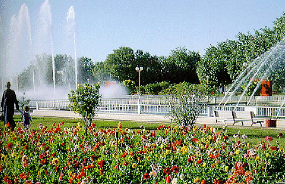 Al Ain Ladies Park - Al Basra Park25453