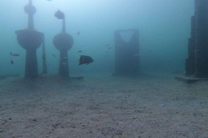 تجربة الغوص لاستكشاف المتحف تحت الماء30521
