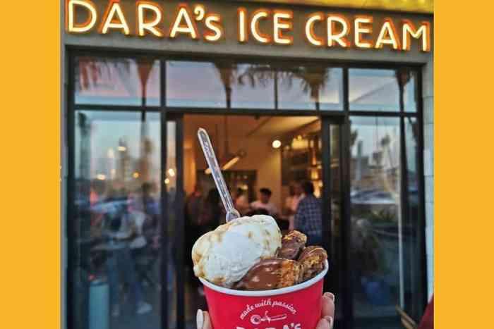 Dara's Ice Cream17658