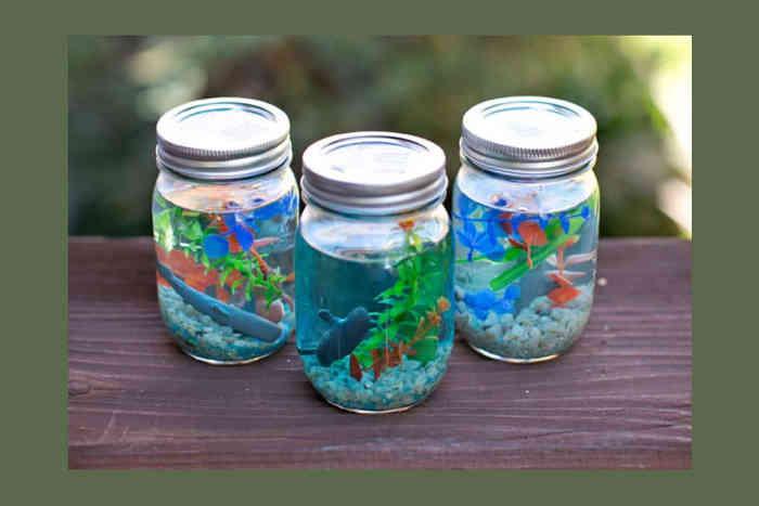 DIY Jar Aquarium25924