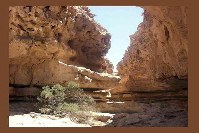 Wadi Degla Protectorate28411
