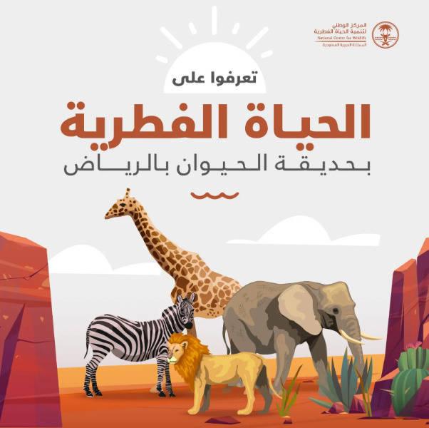 اكتشف الحياة البرية في حديقة الحيوان الرياض37500
