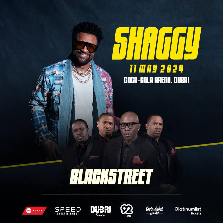 Shaggy & Blackstreet Live in Coca-Cola Arena37441