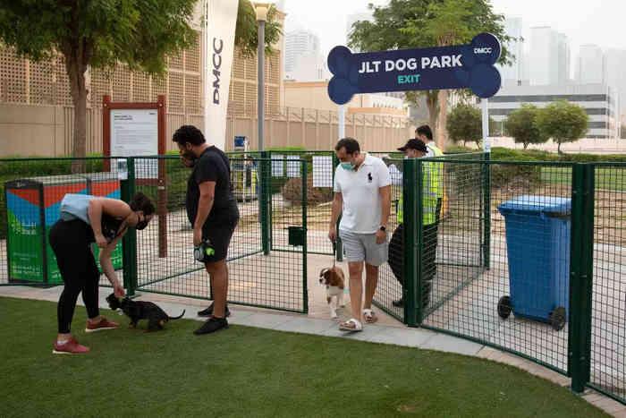 JLT Dog Park17493
