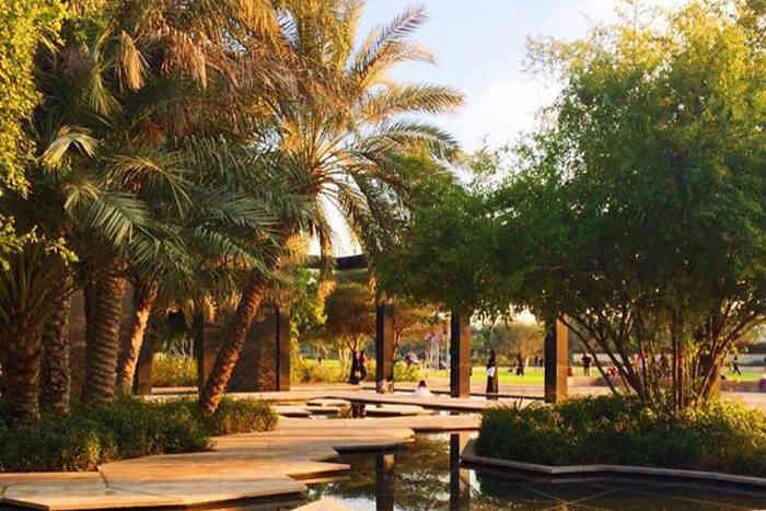 Botanical Garden at Umm Al Emarat Park23822