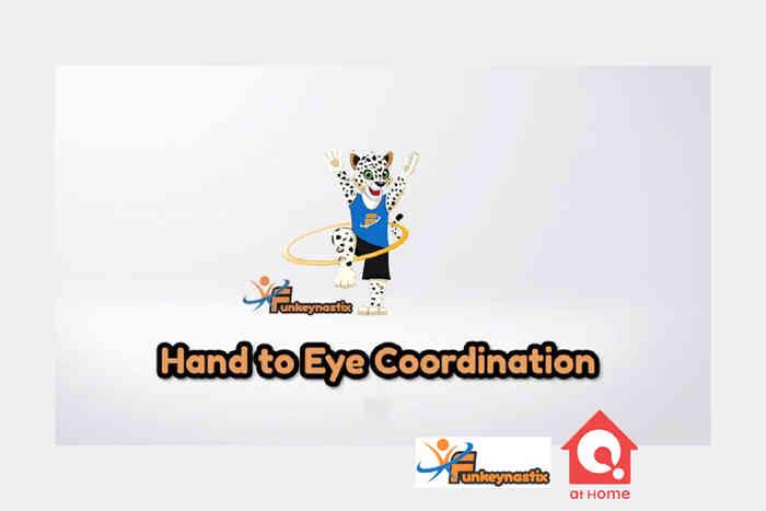 Hand Eye Coordination with Funkeynastix26241