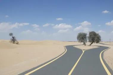 Al Qudra Cycling Track1508