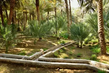 UNESCO Al Ain Oasis 1876