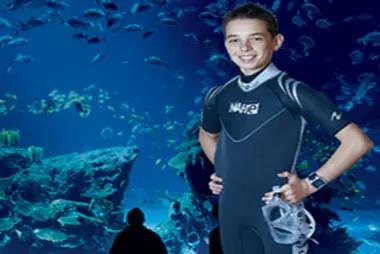 Junior & Senior Aquarist Experience1201