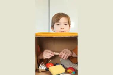 What's In The Box Game - By: The Dad Lab16121