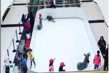 Ice Rink at Saar Mall17885