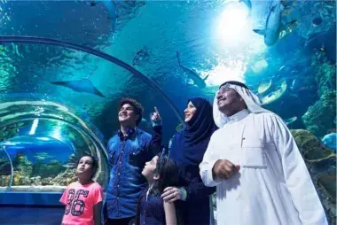 Fakieh Aquarium Visit12382